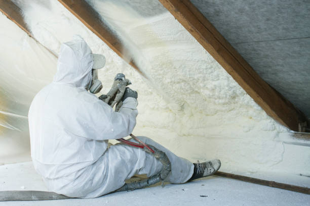 Best Batt and Roll Insulation  in Allen, TX