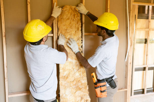 Best Insulation for New Construction  in Allen, TX